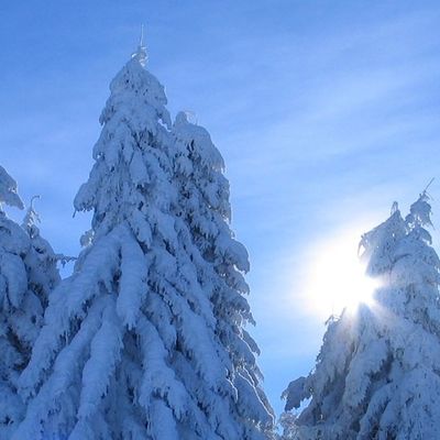 Photo de l'activité 'Balade en raquettes' dans le secteur de Coucouron